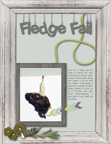 Fledge Fail