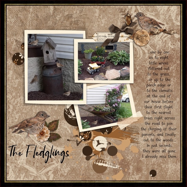 Fledglings-pg2