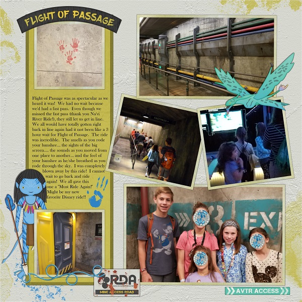 Flight of Passage