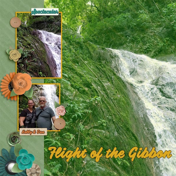 Flight of the Gibbon - P1