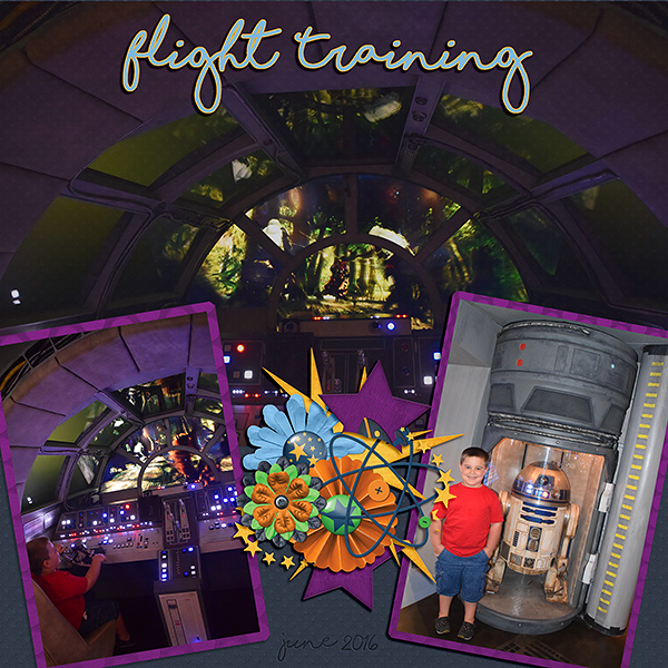 Flight Training