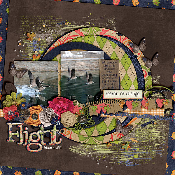 Flight