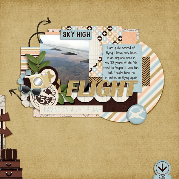 Flight