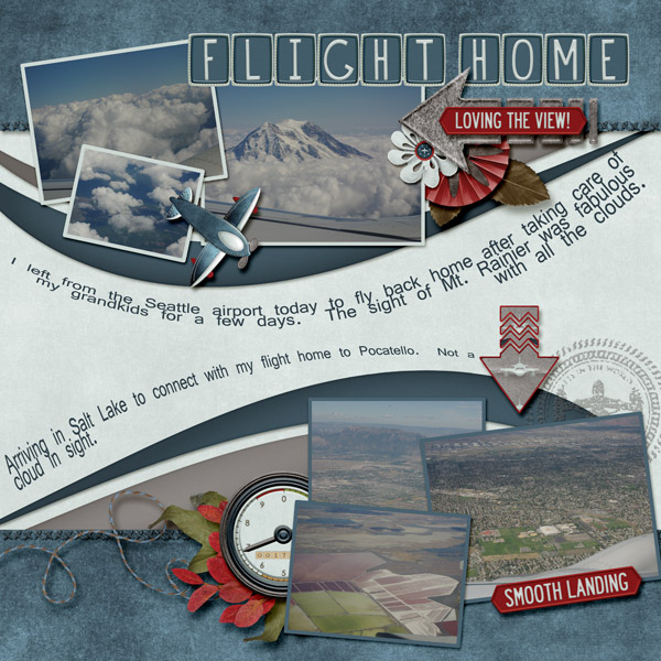 flight_home
