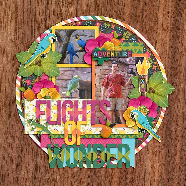 Flights of Wonder