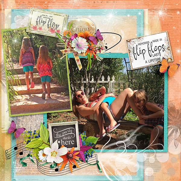 Flip Flops