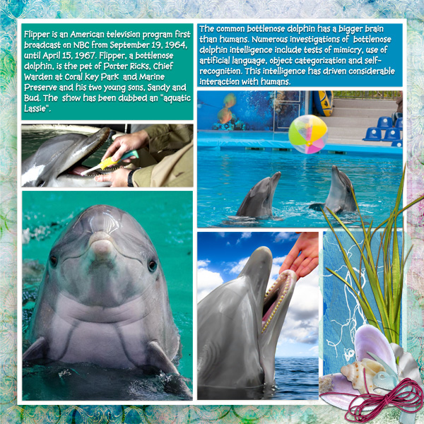 Flipper