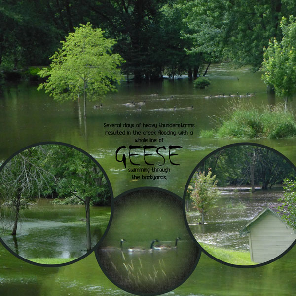Flood-2017