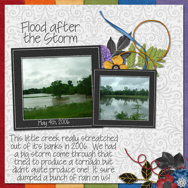 Flood after the Storm