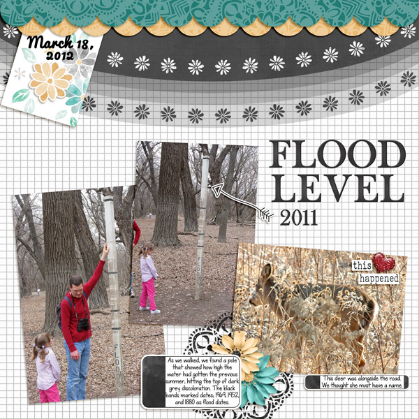 Flood Level
