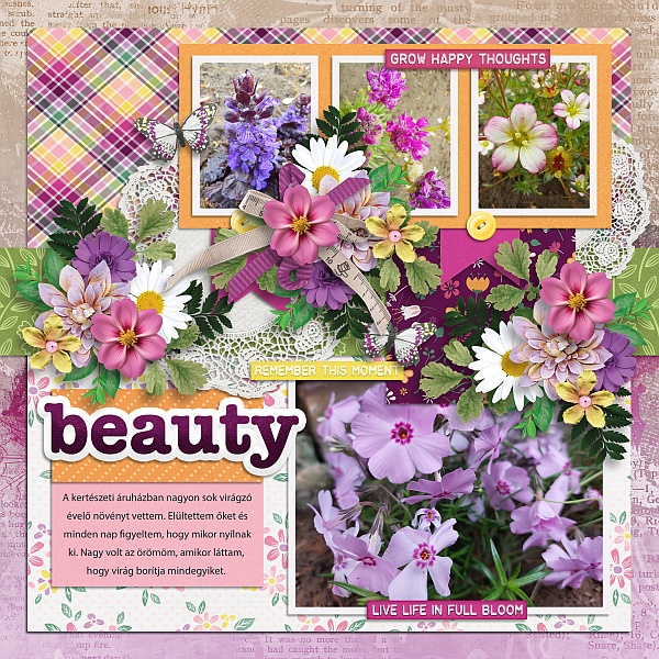 Flora and fauna