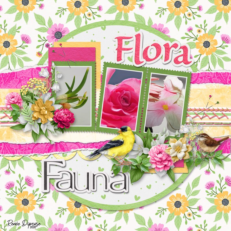 Flora and Fauna