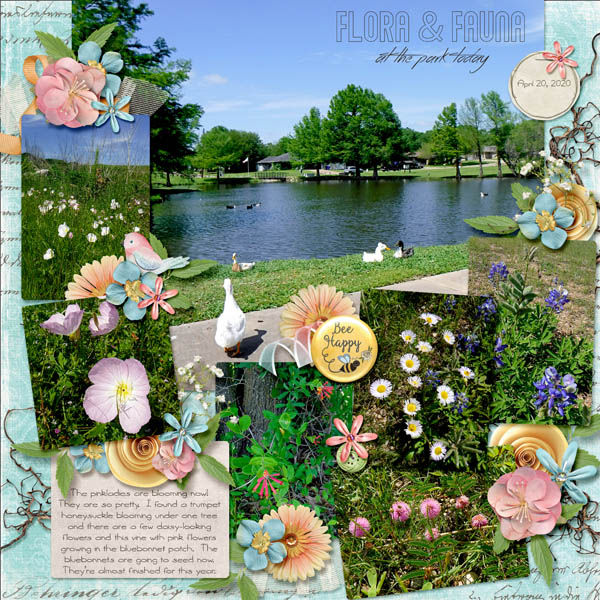 Flora + Fauna