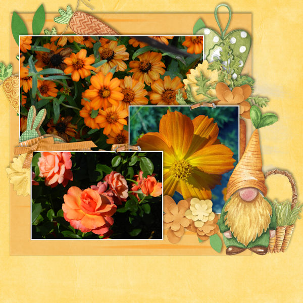 Flora