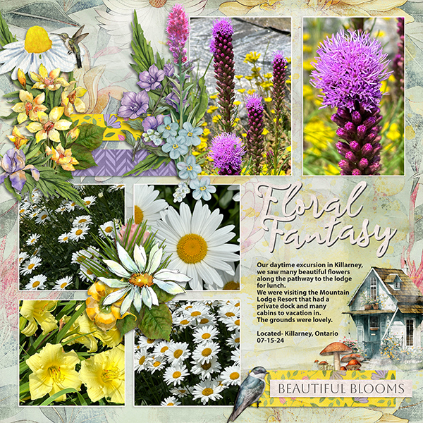 Floral Fantasy