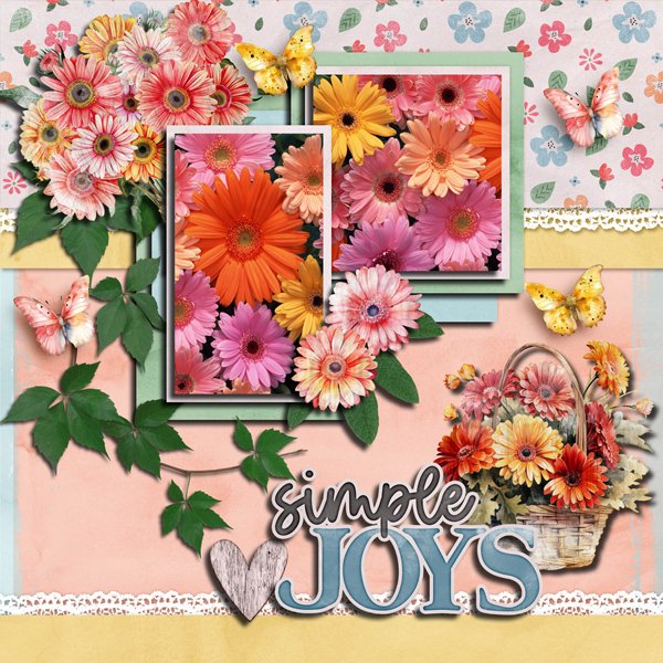 Floral-Gerberas-AH.jpg