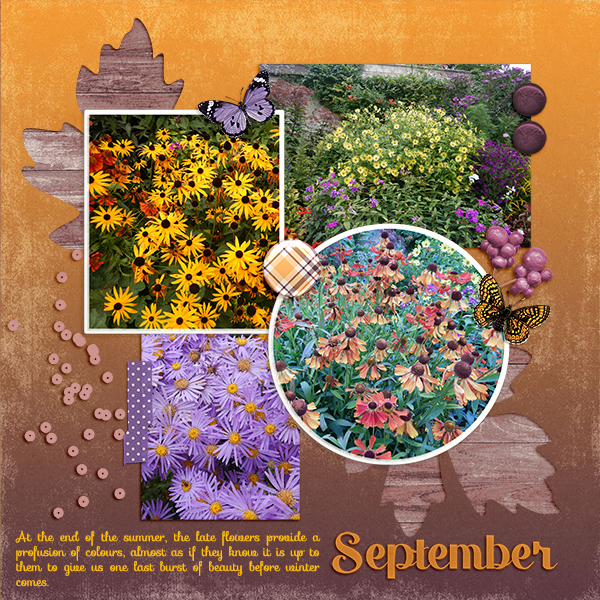 Floral Profusion