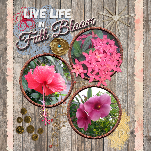 Floral_Profusion_small