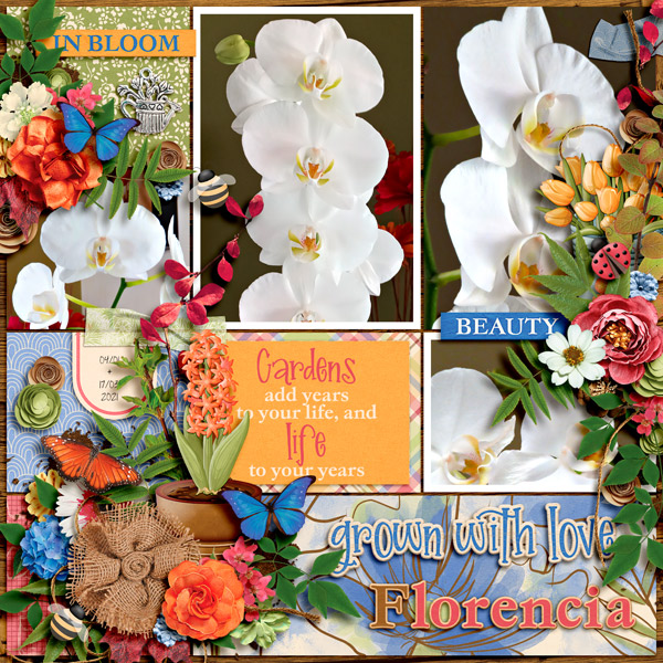 florencia