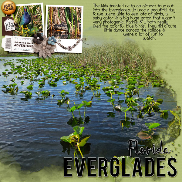 Florida Everglades