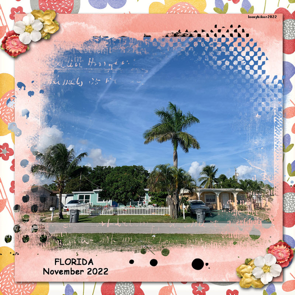 Florida November 2022