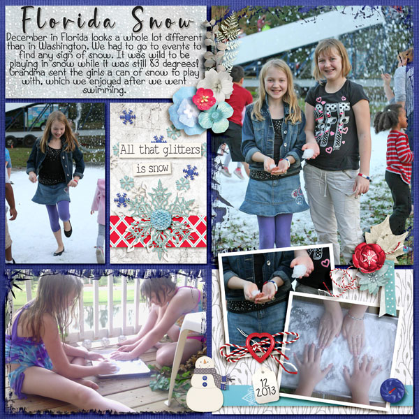 Florida Snow