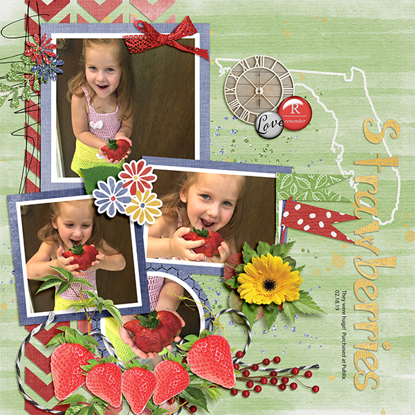 Florida Strawberries