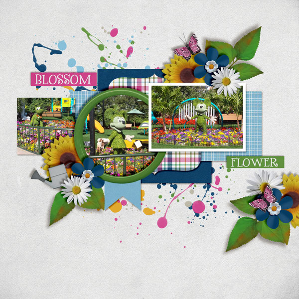 Flower-_-Garden