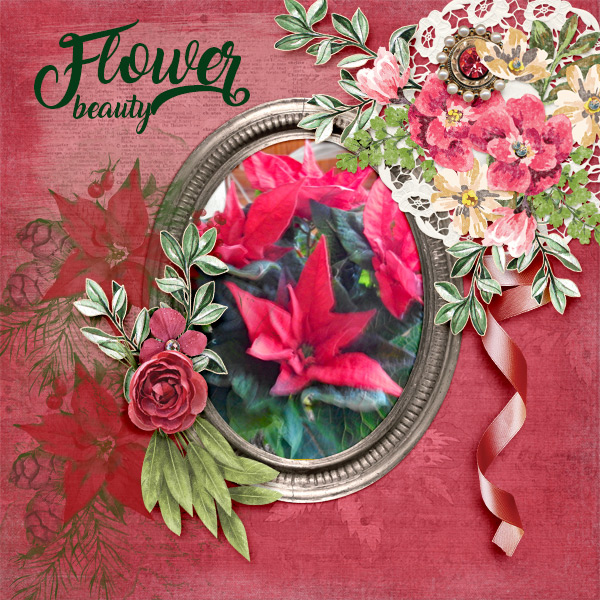 Flower-beauty
