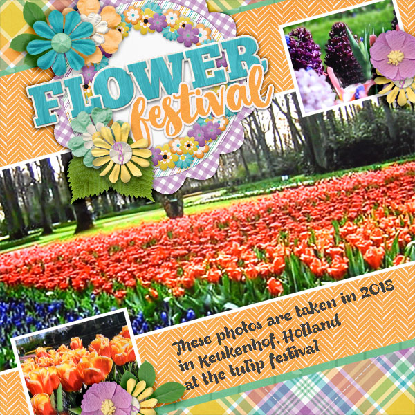 Flower-festival1