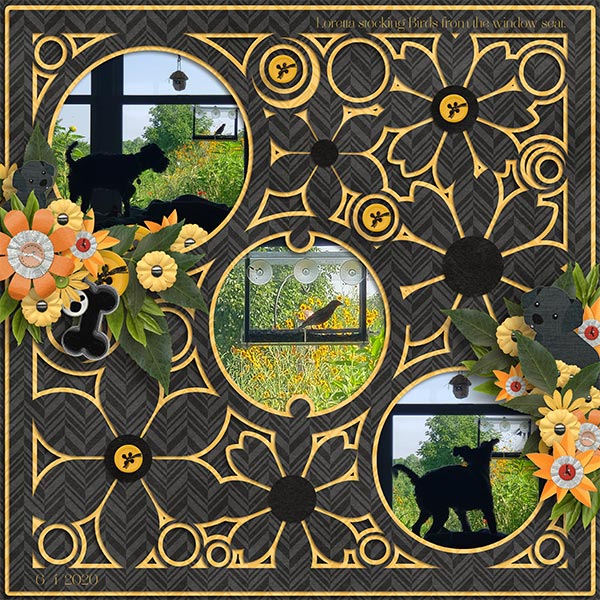 Flower Fever