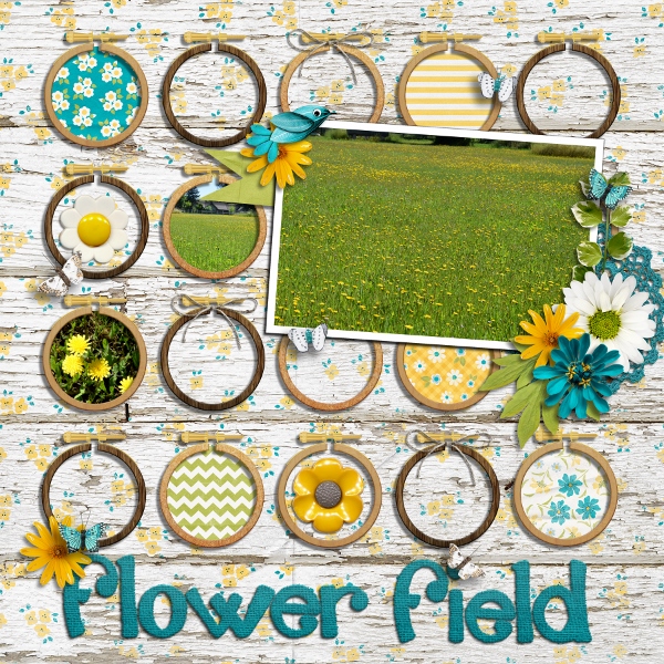 Flower Field