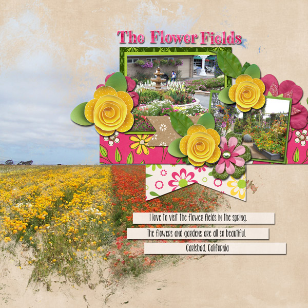 Flower Fields