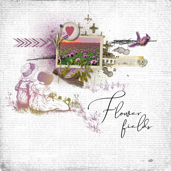 Flower Fields