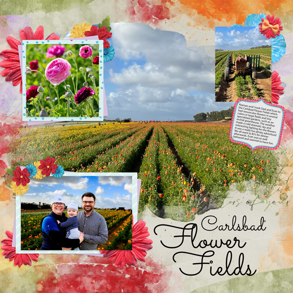 Flower Fields