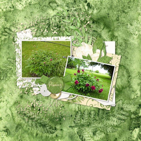 Flower Garden