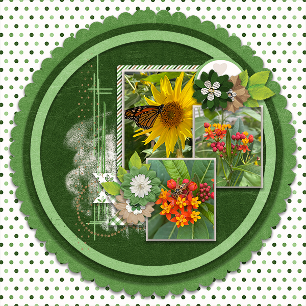 Flower Garden
