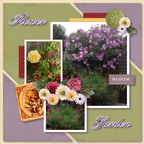 Flower Garden
