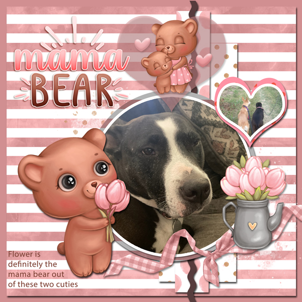 Flower is Mama Bear
