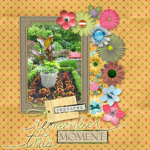 Flower Moment Captured