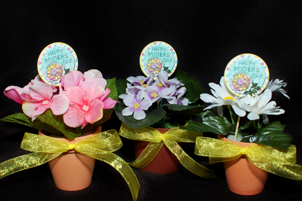 flower pots