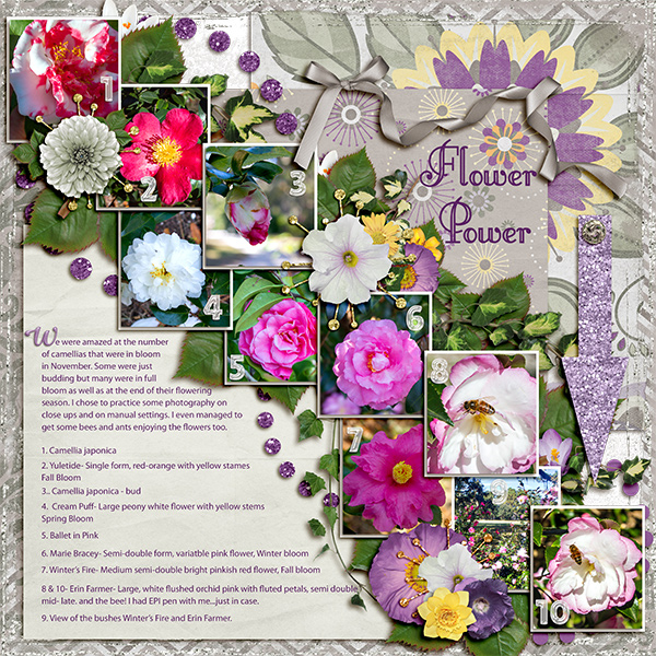 Flower Power