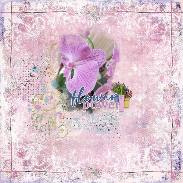 Flower Power