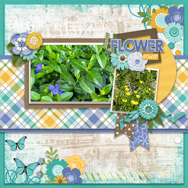 Flower Power