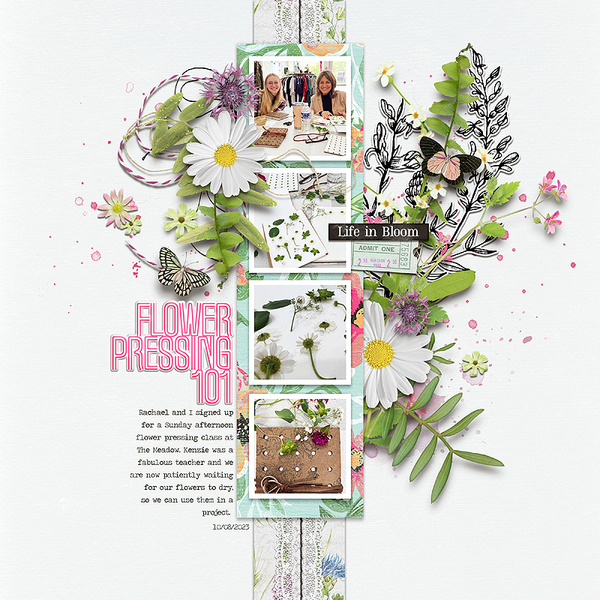Flower Pressing