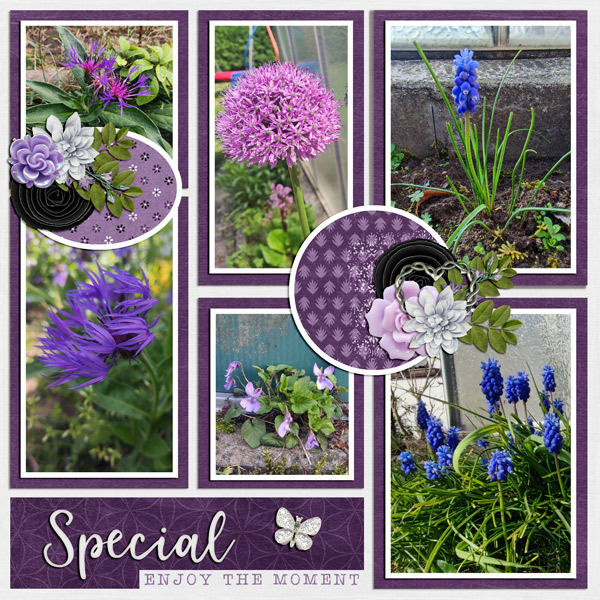 flower special