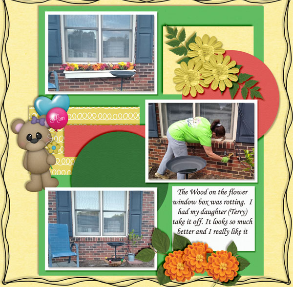 Flower Windo Box