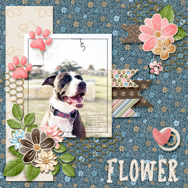 Flower