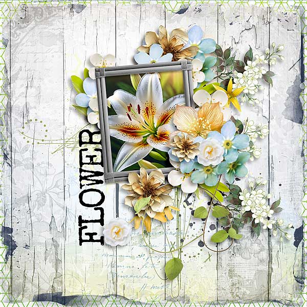 Flower