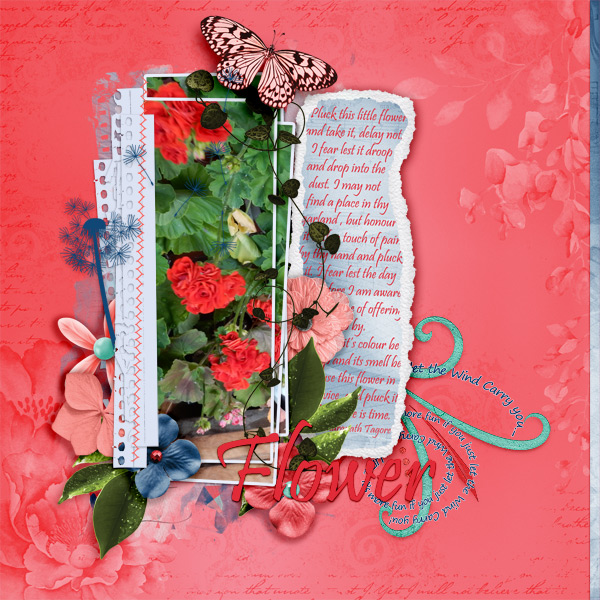 Flower7